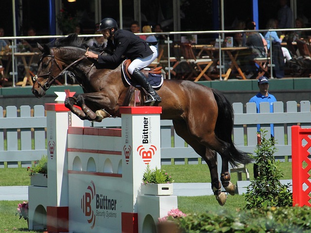 星的功劳 星的功劳