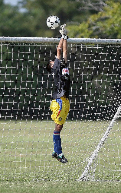 季稳居联盟 季稳居联盟